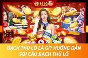 Bạch thủ lô là gì? Hướng dẫn soi cầu bạch thủ lô